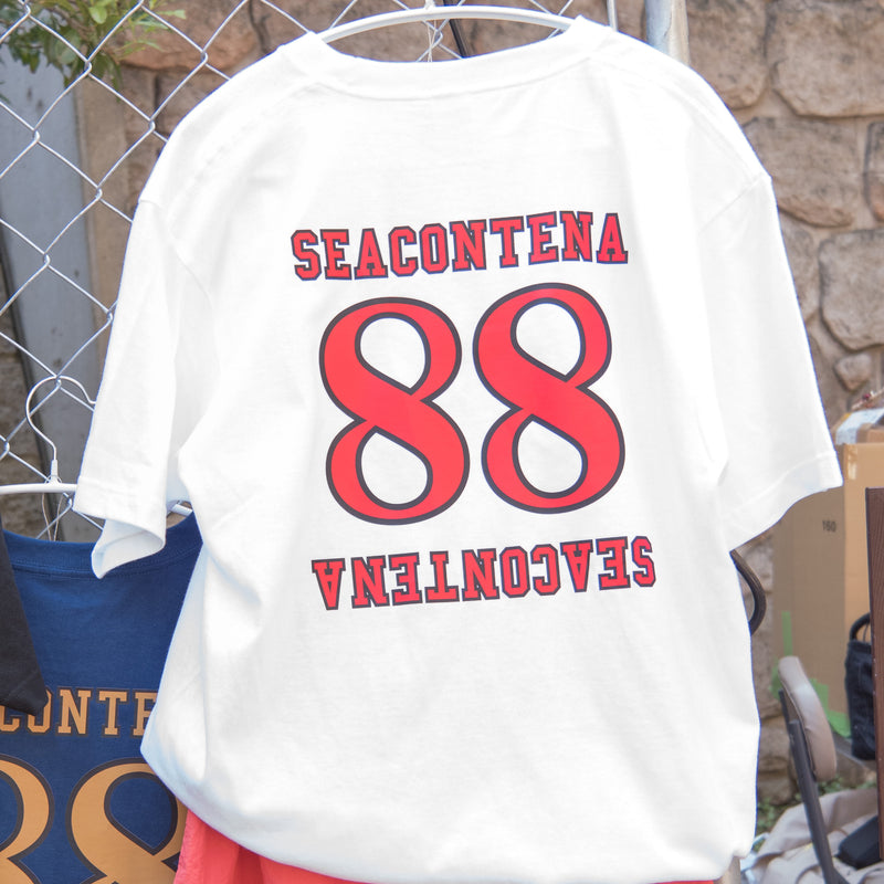 カレッジロゴTシャツ